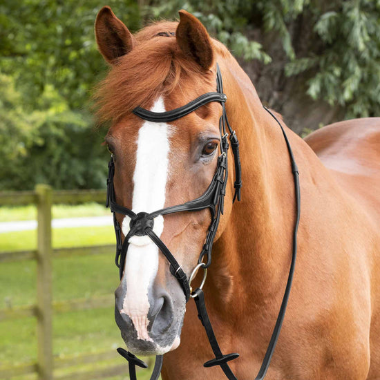 Premier Equine Diego Rubber Reins by Premier Equine at  Try a Bit