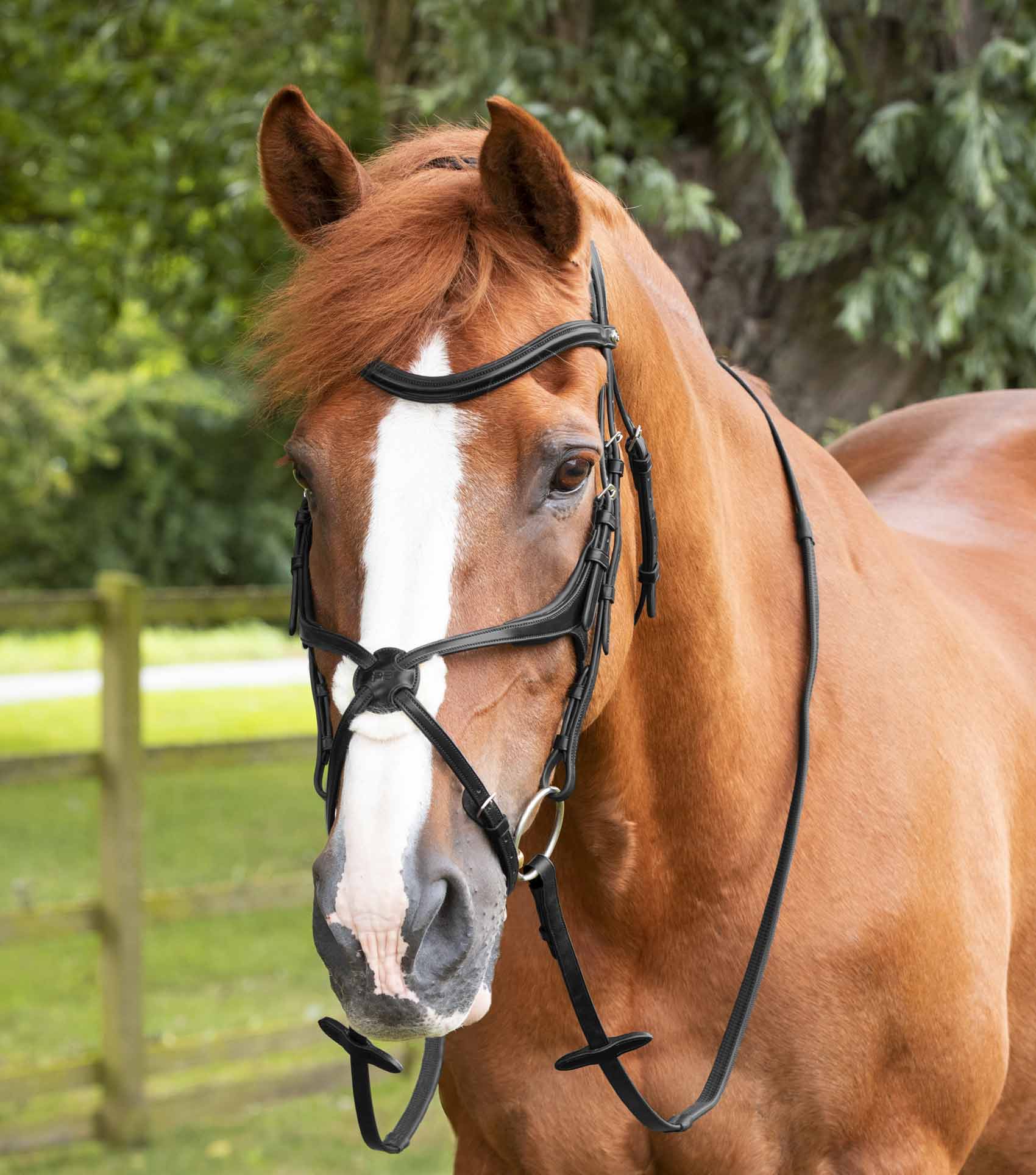 Premier Equine Diego Rubber Reins by Premier Equine at  Try a Bit