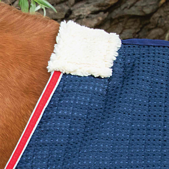 Premier Equine Dry-Tech Horse Cooler Rug by Premier Equine at  Try a Bit