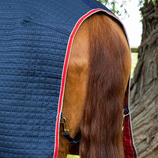 Premier Equine Dry-Tech Horse Cooler Rug by Premier Equine at  Try a Bit