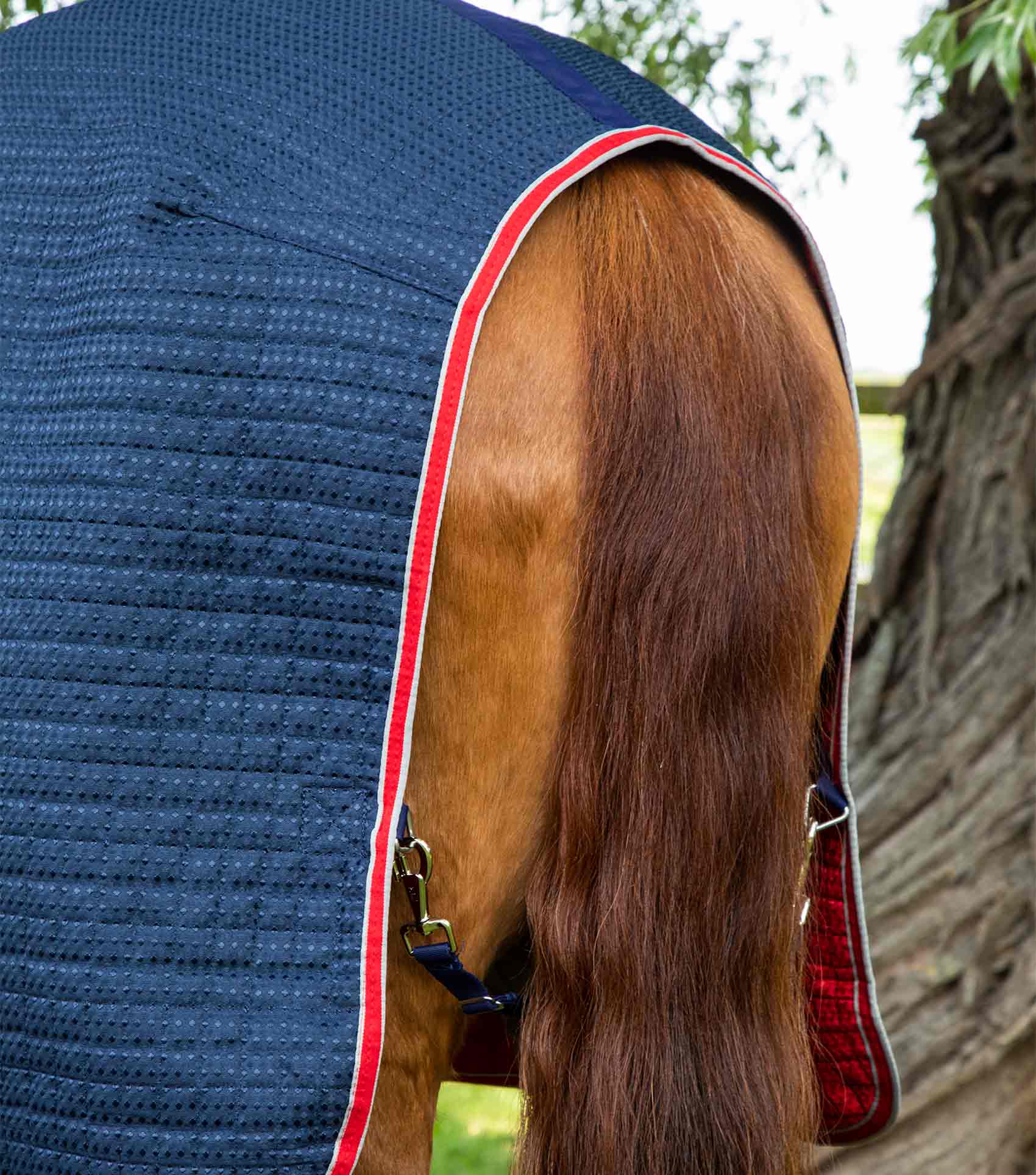 Premier Equine Dry-Tech Horse Cooler Rug by Premier Equine at  Try a Bit