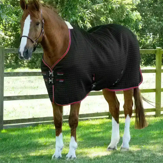 Premier Equine Dry-Tech Horse Cooler Rug by Premier Equine at  Try a Bit