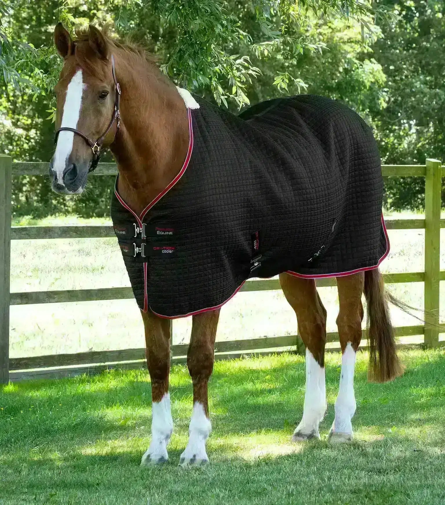 Premier Equine Dry-Tech Horse Cooler Rug by Premier Equine at  Try a Bit