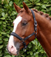 Duco Padded Head Collar With Lead Rope Black by Premier Equine Int. at  Try A Bit