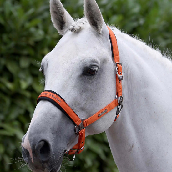 Duco Padded Head Collar with Lead Rope Orange by Premier Equine Int. at  Try A Bit