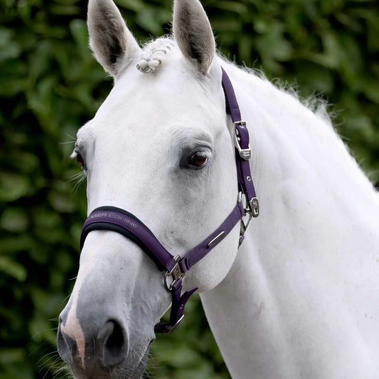 Duco Padded Head Collar with Lead Rope Grape by Premier Equine Int. at  Try A Bit