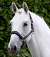 Duco Padded Head Collar with Lead Rope Grape by Premier Equine Int. at  Try A Bit