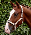Duco Padded Head Collar with Lead Rope Taupe by Premier Equine Int. at  Try A Bit