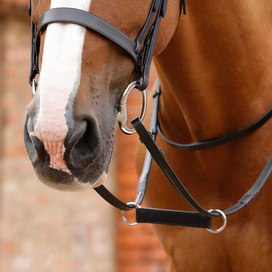 Premier Equine Esperia Irish Martingale by Premier Equine at  Try a Bit