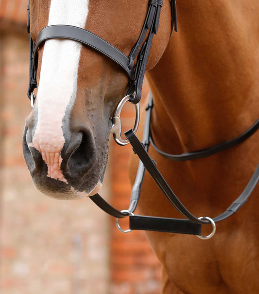 Premier Equine Esperia Irish Martingale by Premier Equine at  Try a Bit