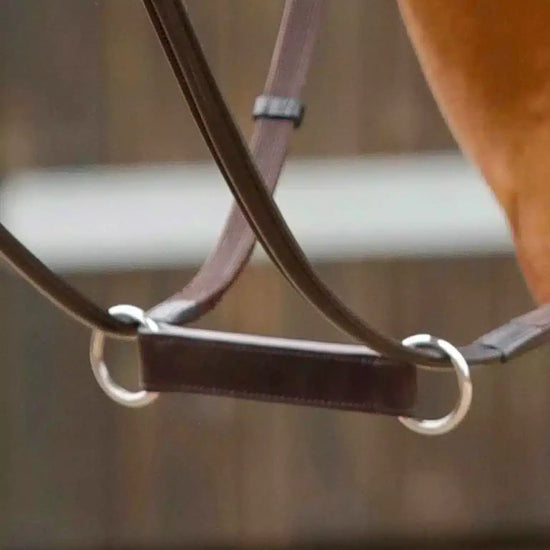 Premier Equine Esperia Irish Martingale by Premier Equine at  Try a Bit