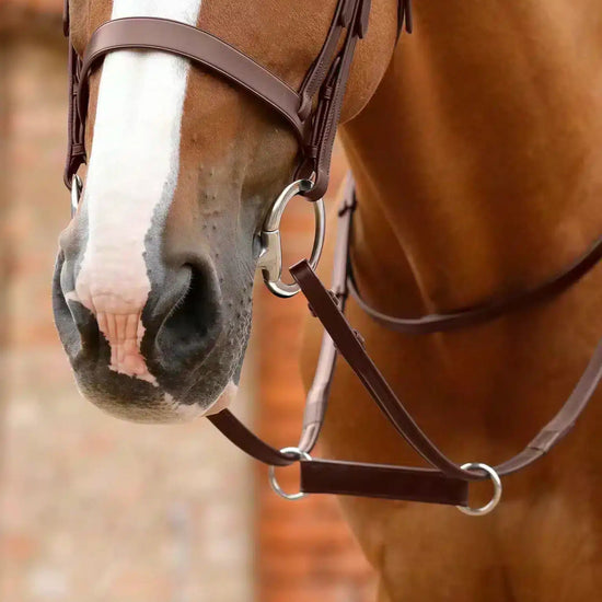 Premier Equine Esperia Irish Martingale by Premier Equine at  Try a Bit