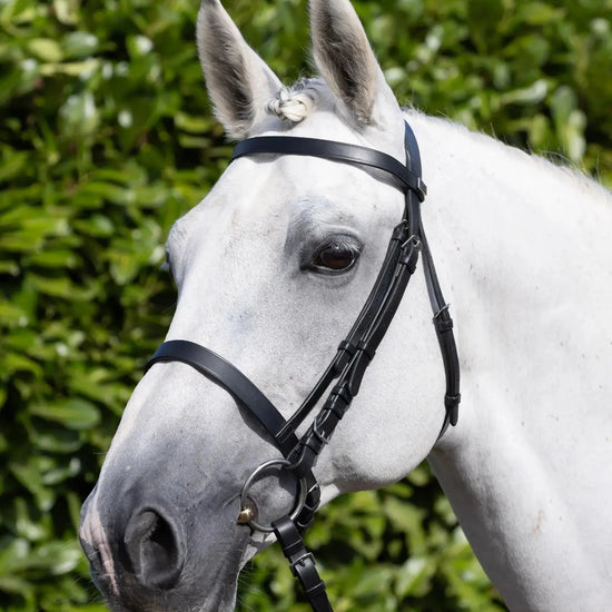 PExercise / Racing Bridle with Plain Caveson Noseband Dark Havana by Premier Equine Int. Ltd. at  Try A Bit