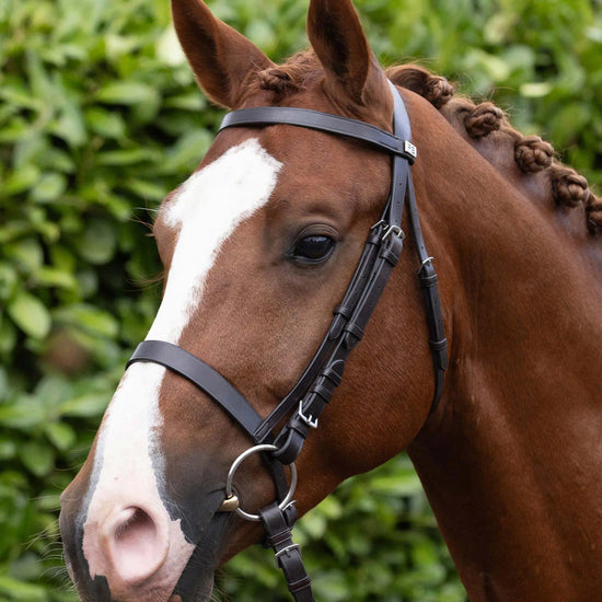 Exercise / Racing Bridle with Plain Caveson Noseband Dark Havana by Premier Equine Int. Ltd. at  Try A Bit