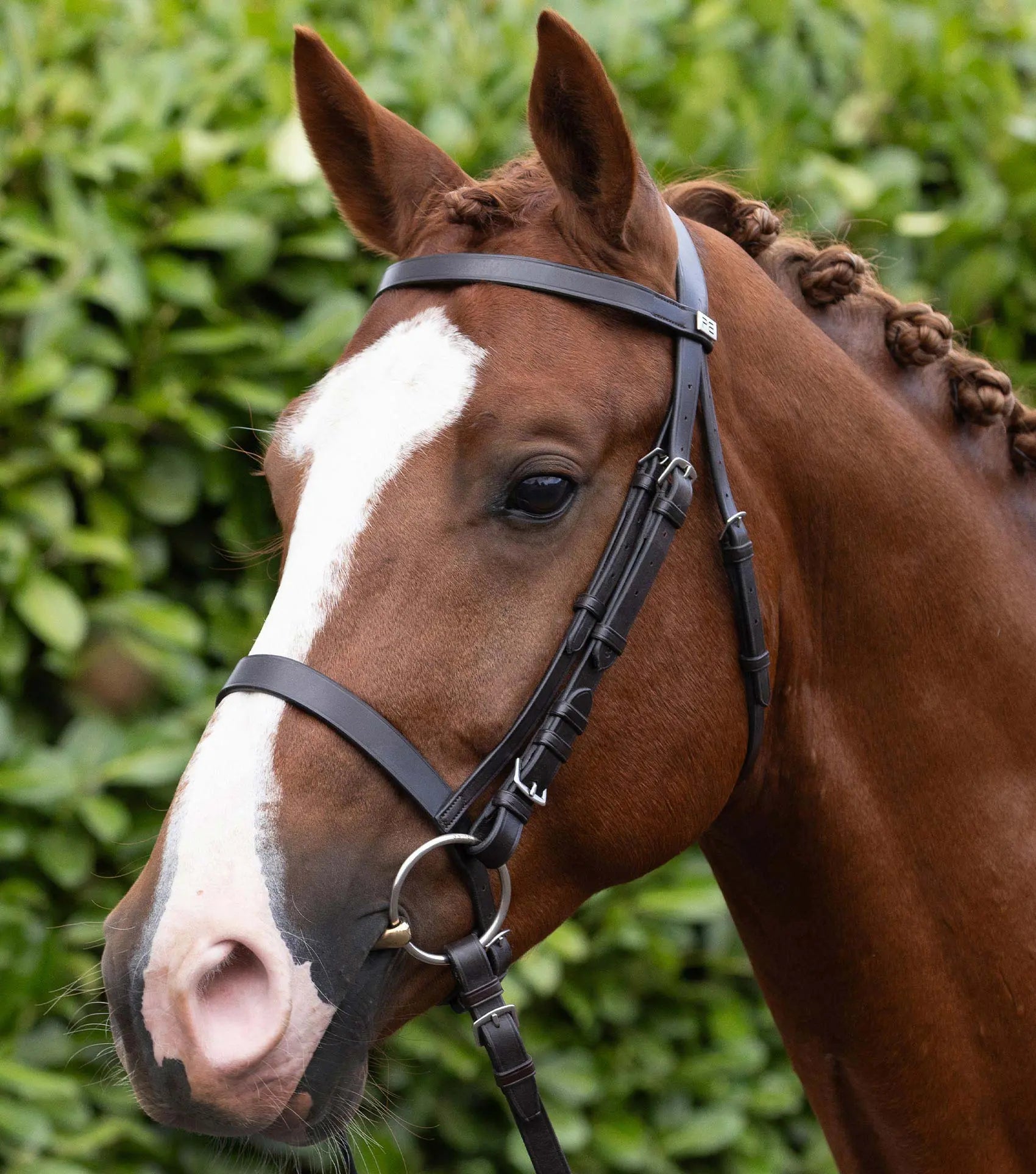Exercise / Racing Bridle with Plain Caveson Noseband Dark Havana by Premier Equine Int. Ltd. at  Try A Bit