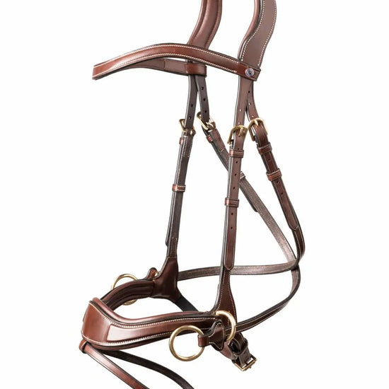 Trust Equestrian Falsterbo T-motion Bridle by Trust Equestrian at  Try a Bit