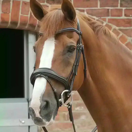 Premier Equine Favoloso Anatomic Bridle with Crank Noseband by Premier Equine at  Try a Bit
