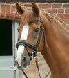 Premier Equine Favoloso Anatomic Bridle with Crank Noseband by Premier Equine at  Try a Bit