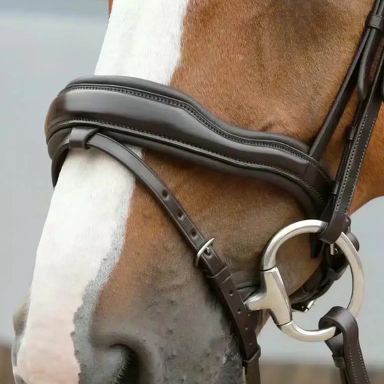 Premier Equine Favoloso Anatomic Bridle with Crank Noseband by Premier Equine at  Try a Bit
