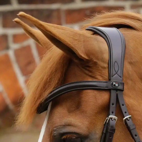 Premier Equine Favoloso Anatomic Bridle with Crank Noseband by Premier Equine at  Try a Bit