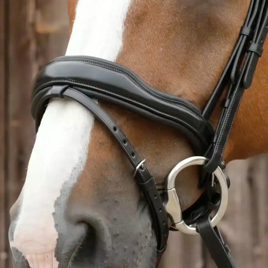 Premier Equine Favoloso Anatomic Bridle with Crank Noseband by Premier Equine at  Try a Bit