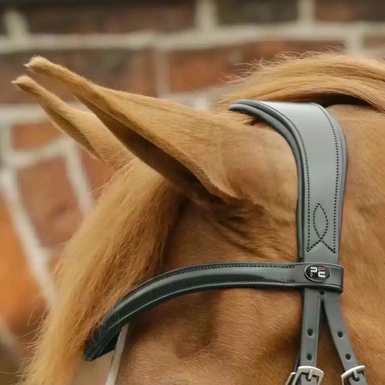 Premier Equine Favoloso Anatomic Bridle with Crank Noseband by Premier Equine at  Try a Bit