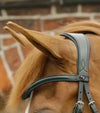 Premier Equine Favoloso Anatomic Bridle with Crank Noseband by Premier Equine at  Try a Bit