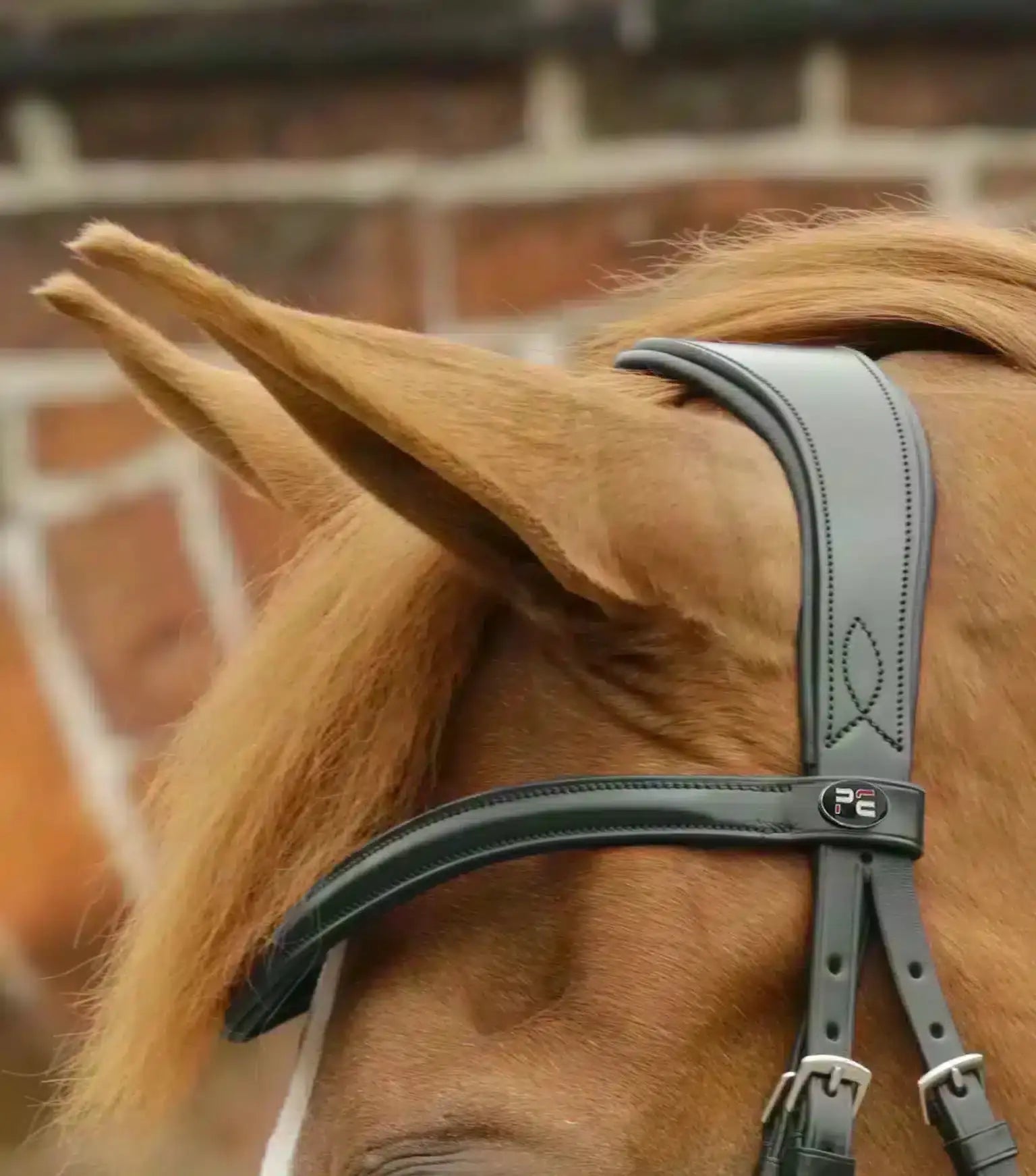 Premier Equine Favoloso Anatomic Bridle with Crank Noseband by Premier Equine at  Try a Bit