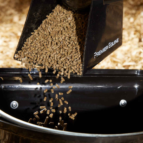 Premier Equine Horse Feed Scoop by Premier Equine at  Try a Bit