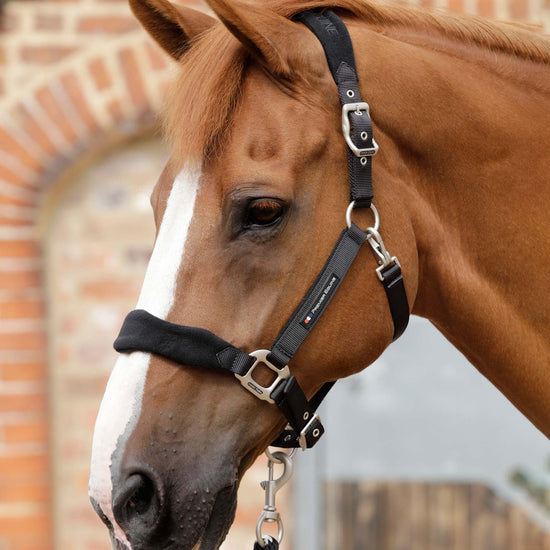 Premier Equine Fleece Padded Horse Head Collar by Premier Equine at  Try a Bit