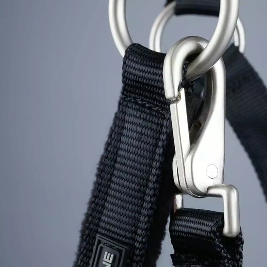 Premier Equine Fleece Padded Horse Head Collar by Premier Equine at  Try a Bit