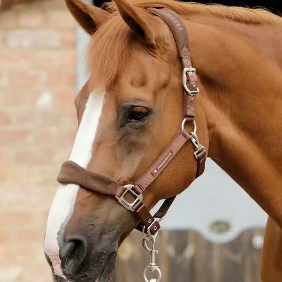 Premier Equine Fleece Padded Horse Head Collar by Premier Equine at  Try a Bit