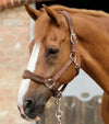 Premier Equine Fleece Padded Horse Head Collar by Premier Equine at  Try a Bit