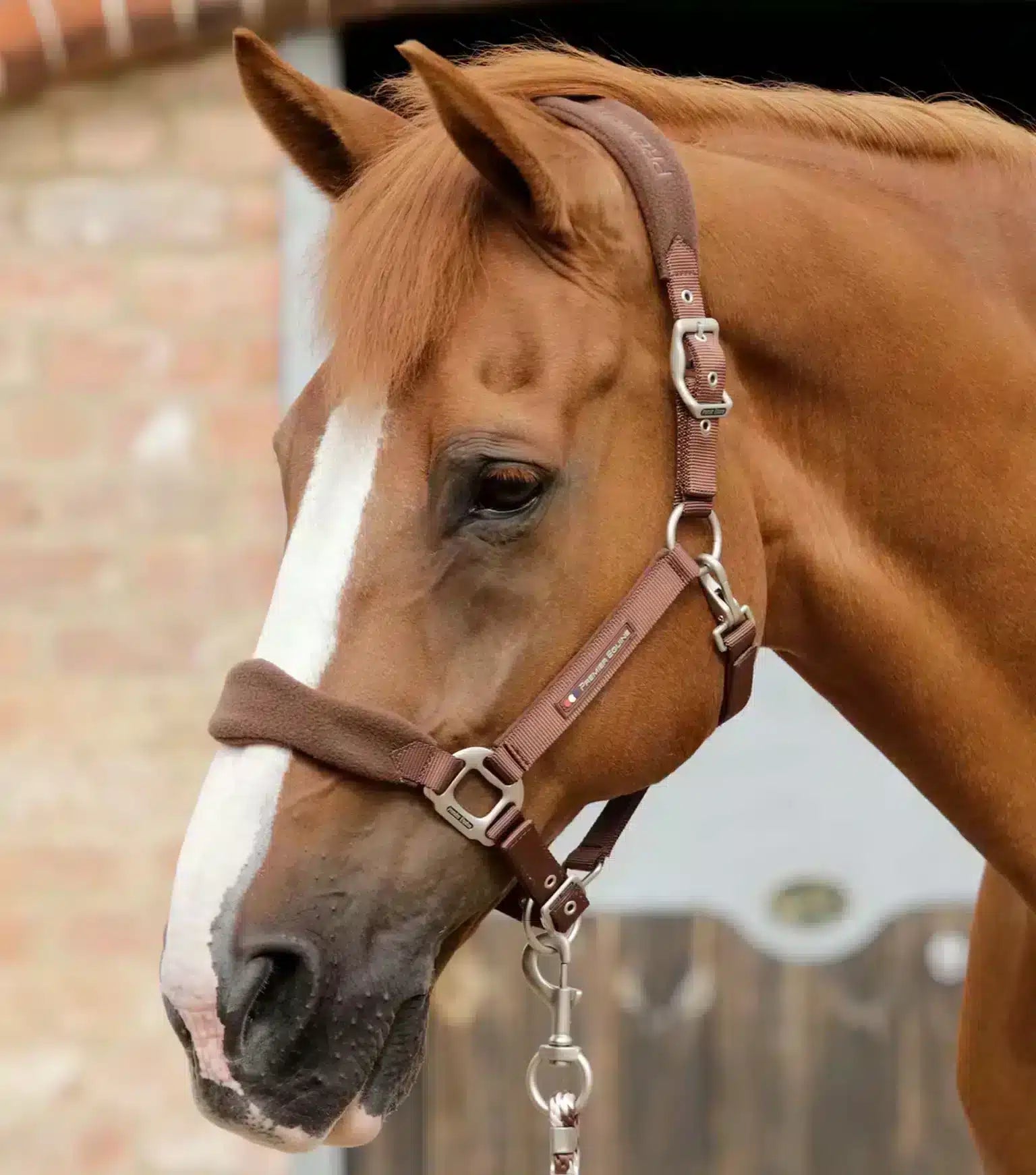 Premier Equine Fleece Padded Horse Head Collar by Premier Equine at  Try a Bit