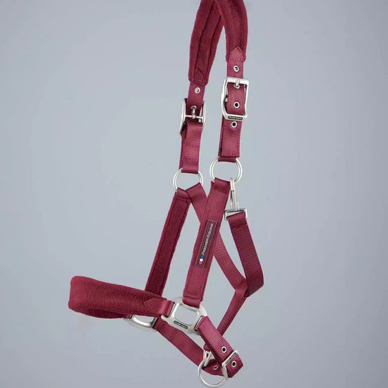 Premier Equine Fleece Padded Horse Head Collar by Premier Equine at  Try a Bit