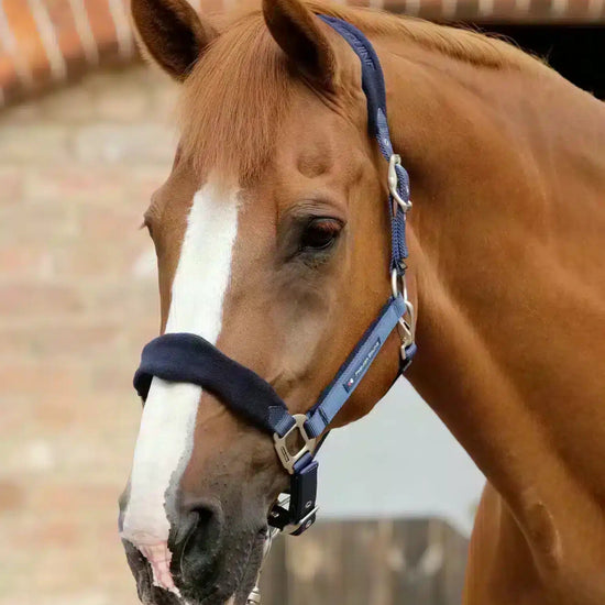 Premier Equine Fleece Padded Horse Head Collar by Premier Equine at  Try a Bit