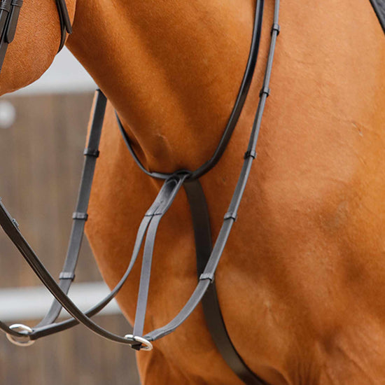 Premier Equine Fuscaldo Running Martingale by Premier Equine at  Try a Bit