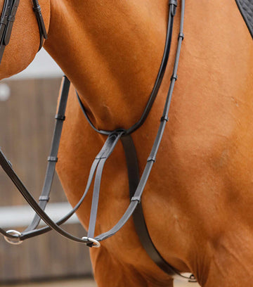 Premier Equine Fuscaldo Running Martingale by Premier Equine at  Try a Bit