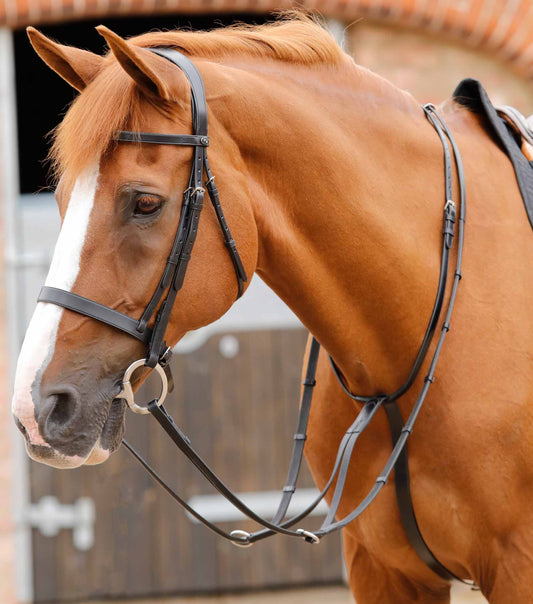 Premier Equine Fuscaldo Running Martingale by Premier Equine at  Try a Bit