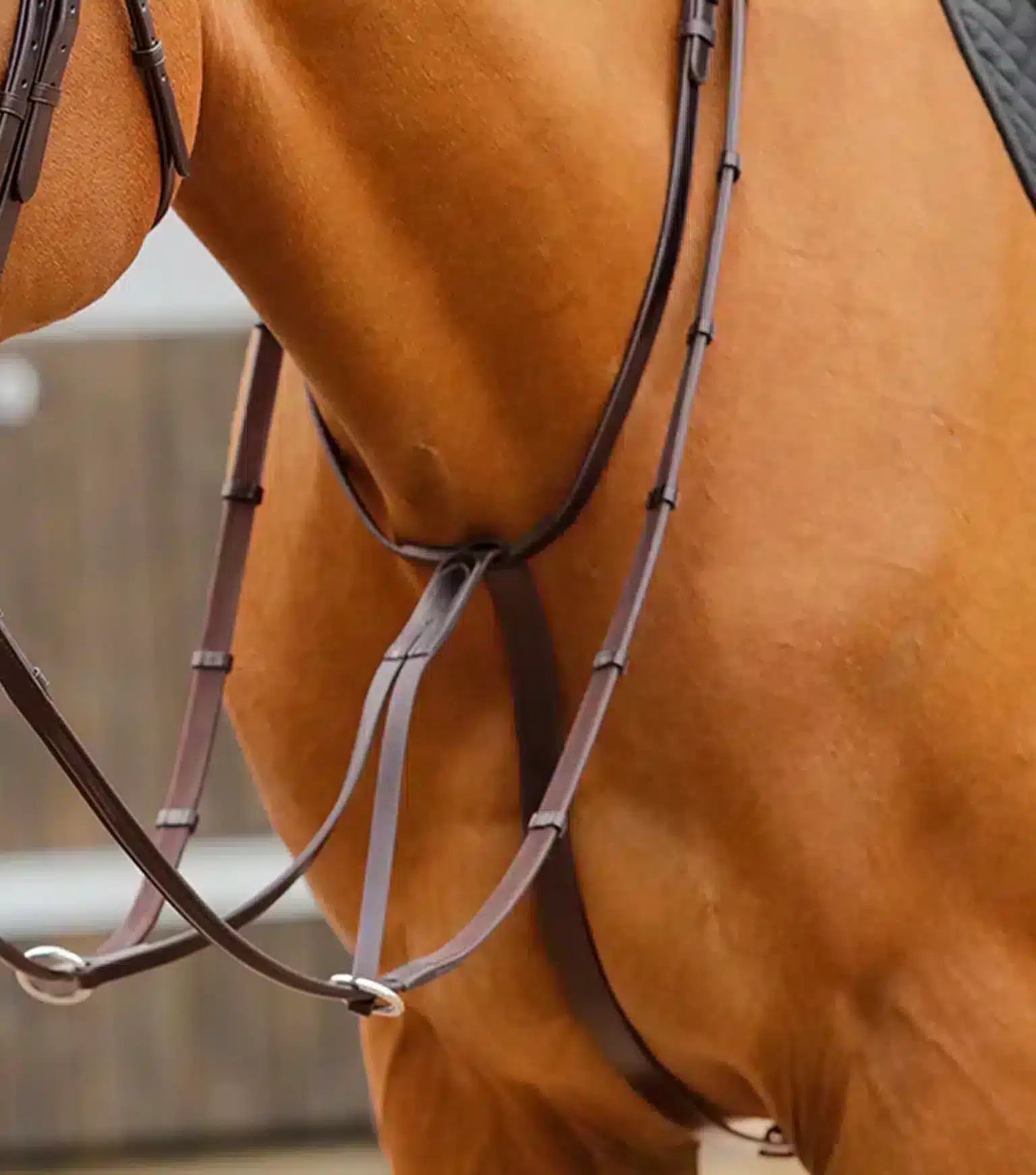 Premier Equine Fuscaldo Running Martingale by Premier Equine at  Try a Bit