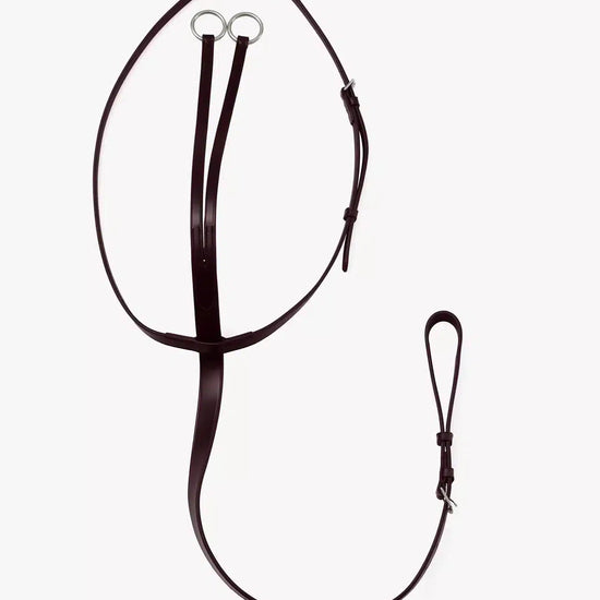 Premier Equine Fuscaldo Running Martingale by Premier Equine at  Try a Bit