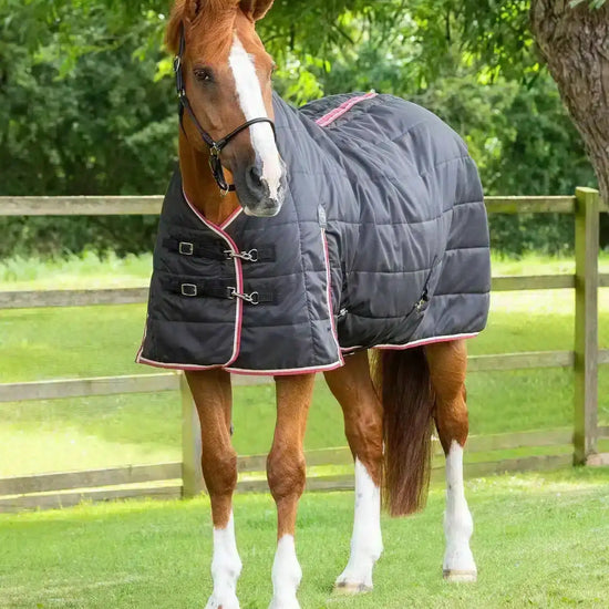 Premier Equine Garissa Stable Rug 100g by Premier Equine at  Try a Bit