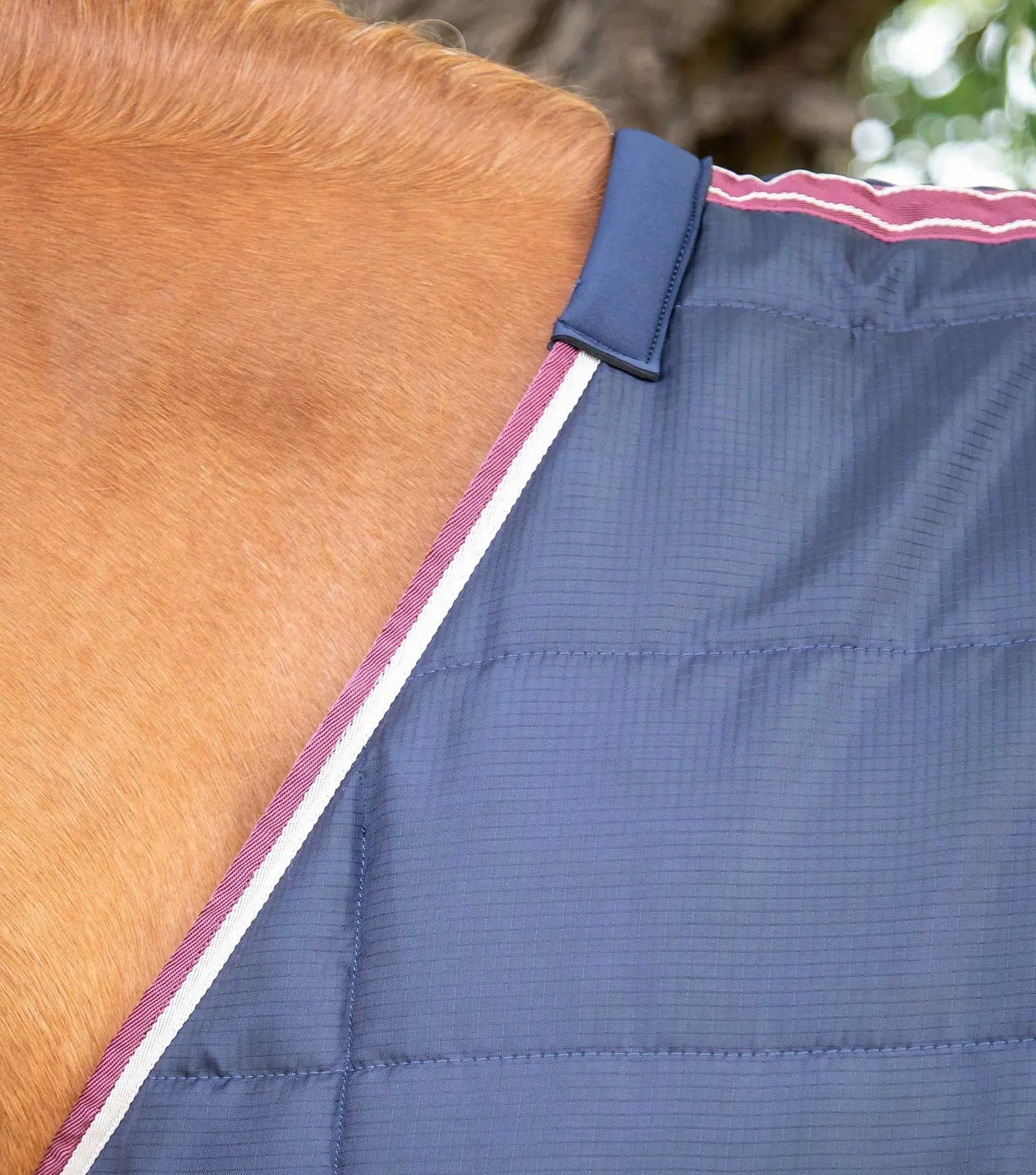 Premier Equine Garissa Stable Rug 100g by Premier Equine at  Try a Bit