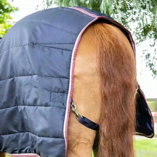 Premier Equine Garissa Stable Rug 100g by Premier Equine at  Try a Bit