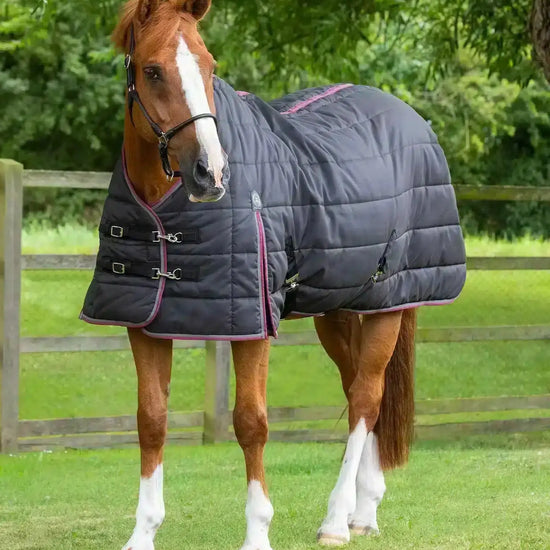 Premier Equine Garissa Stable Rug 200g by Premier Equine at  Try a Bit