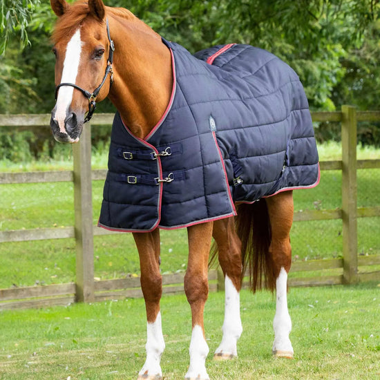 Premier Equine Garissa Stable Rug 200g by Premier Equine at  Try a Bit