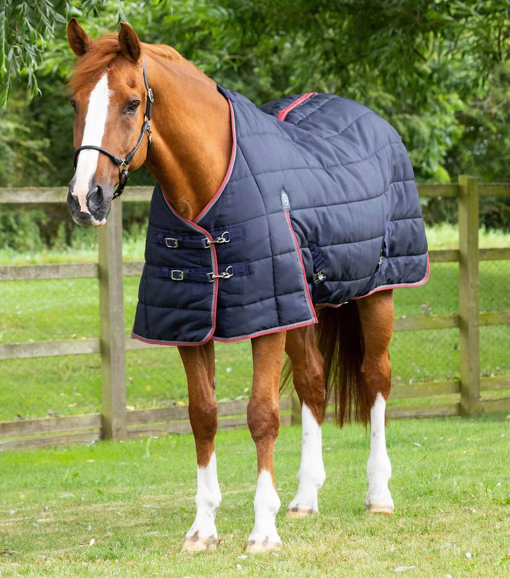 Premier Equine Garissa Stable Rug 200g by Premier Equine at  Try a Bit