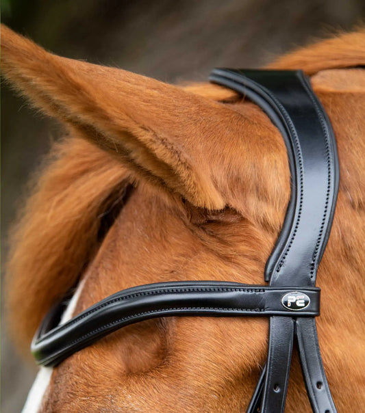 Premier Equine Glorioso Grackle Bridle by Premier Equine at  Try a Bit
