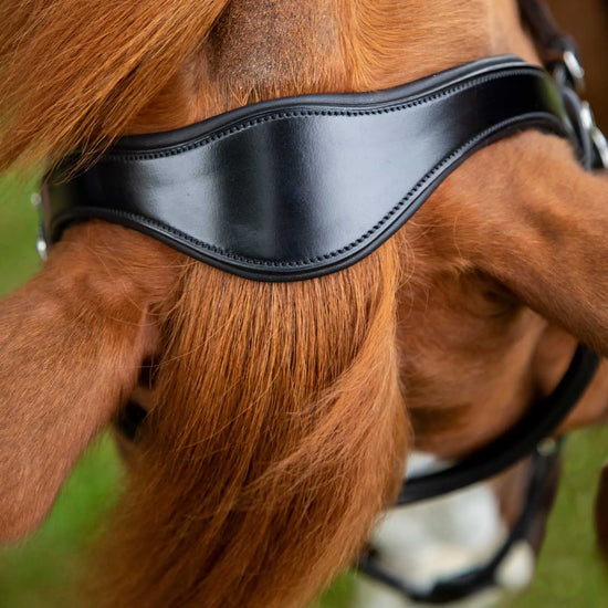 Premier Equine Glorioso Grackle Bridle by Premier Equine at  Try a Bit