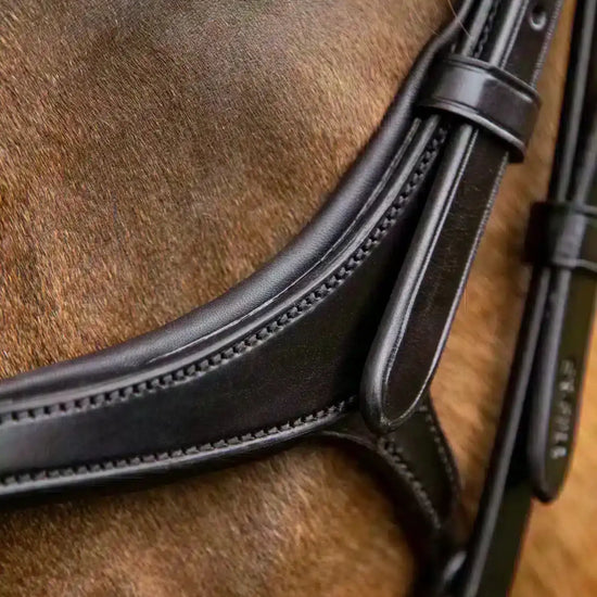 Premier Equine Glorioso Grackle Bridle by Premier Equine at  Try a Bit